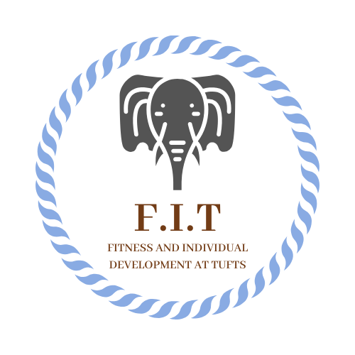 F I T logo