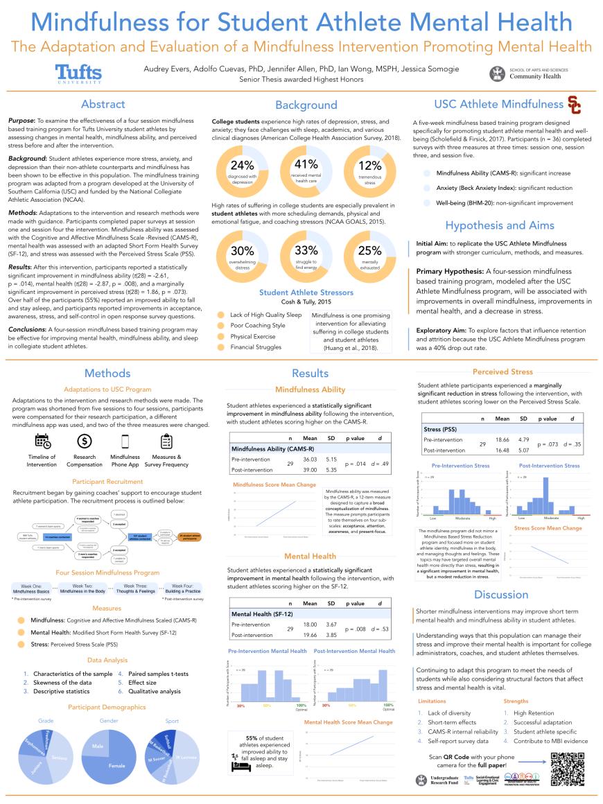 SAMP poster 1