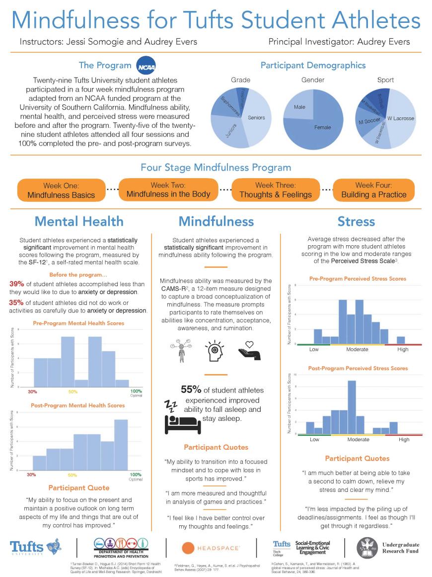 SAMP poster 2