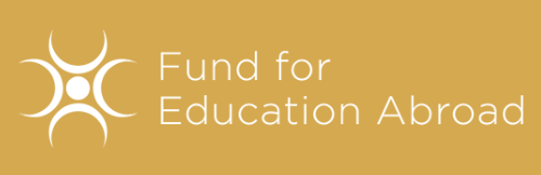 Logo reads Fund for Education Abroad in white font color with abstract design to left of text