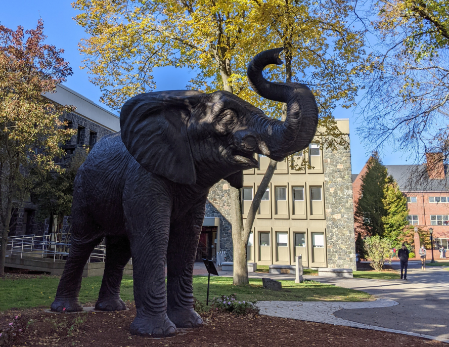 Statue of Tufts elephant mascot Jumbo on a sunny day on Medford campus