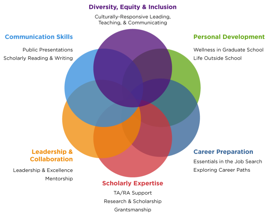 Professional Development Domains