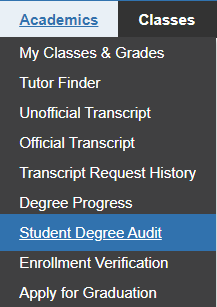student degree audit navigation