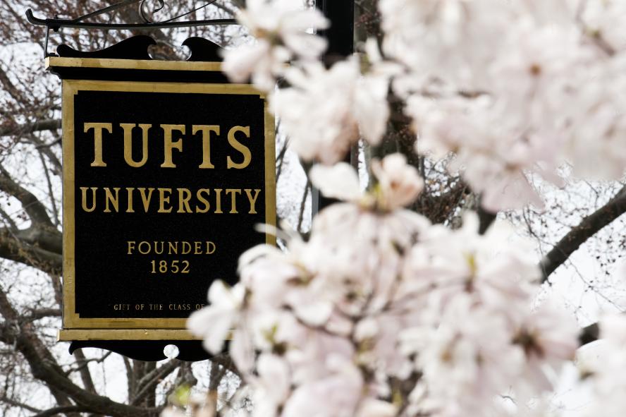 tufts sign with cherry blossoms in bloom