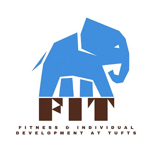 FIT logo