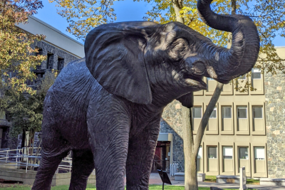 Statue of Tufts elephant mascot Jumbo on a sunny day on Medford campus